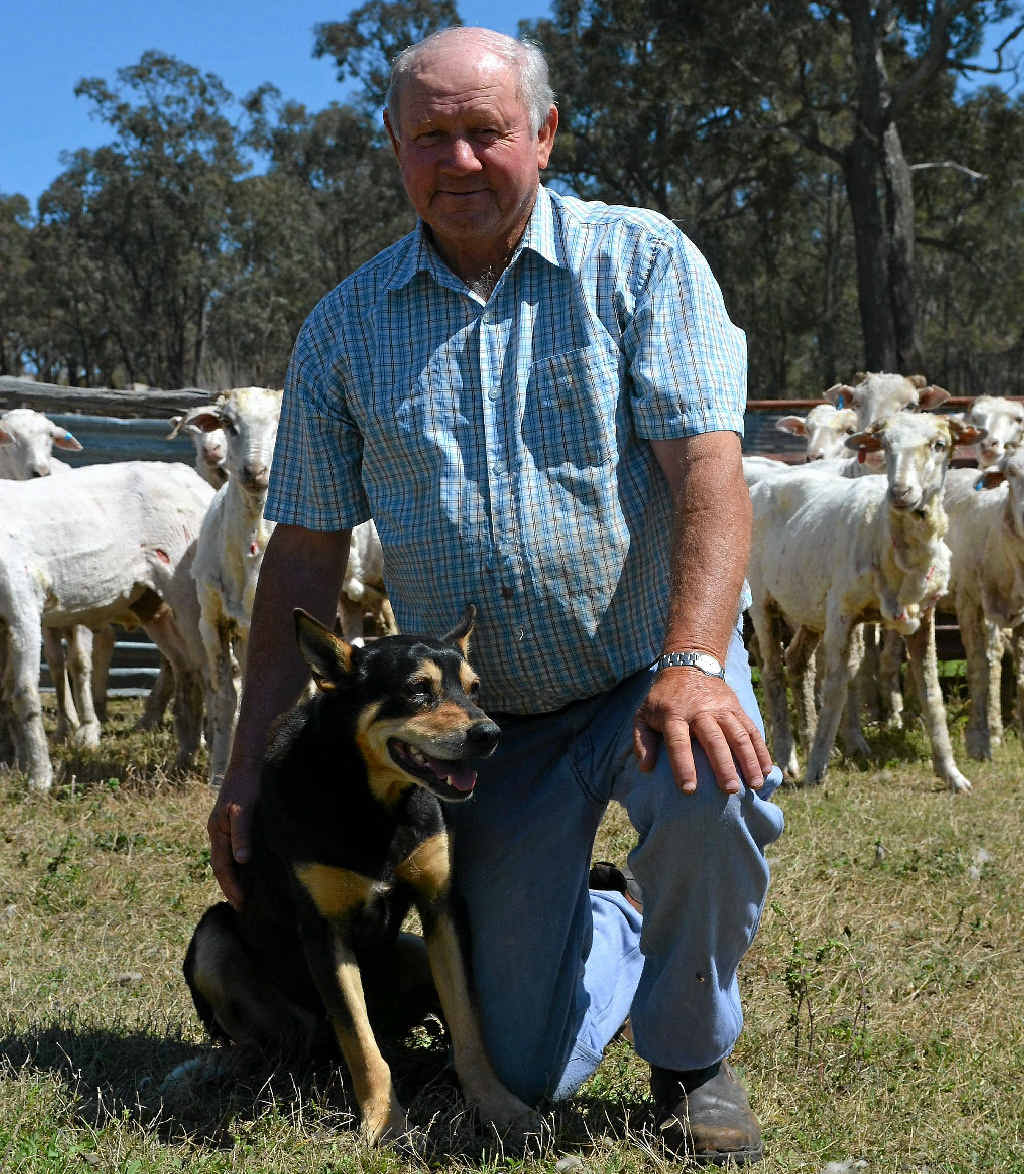 Reg Cullen with his trusty pooch Hebel. 